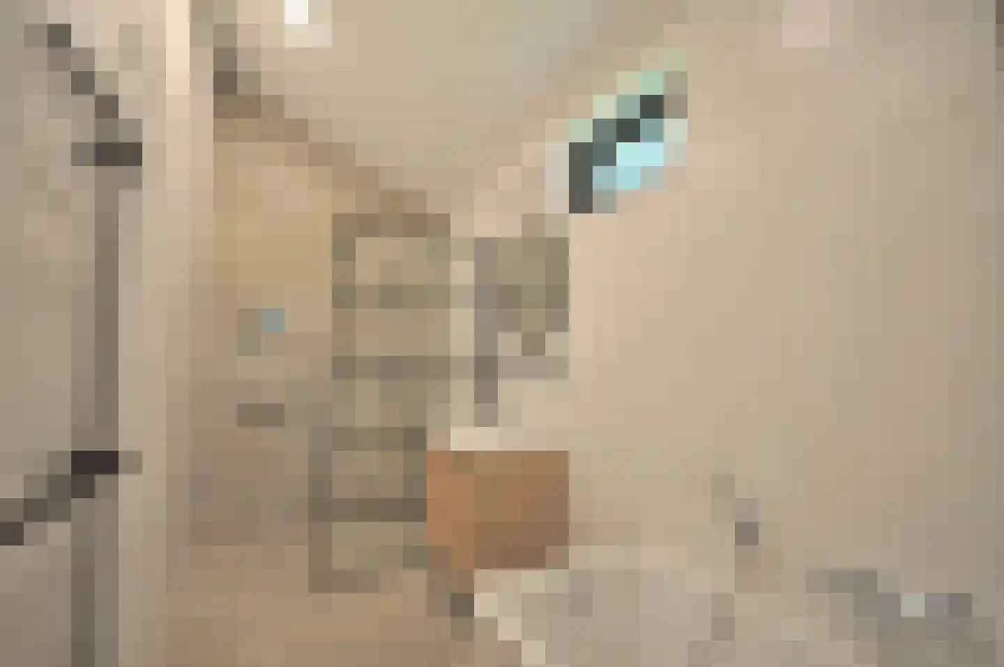 Springvloed 25 Zoutelande thumbnail 30