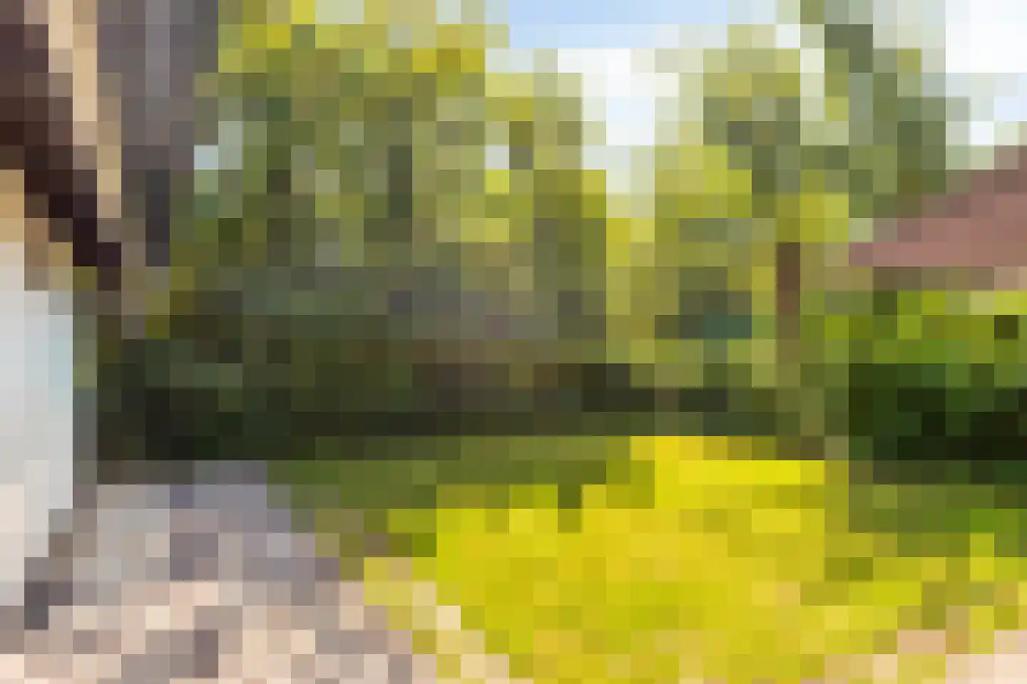 Springvloed 25 Zoutelande thumbnail 31