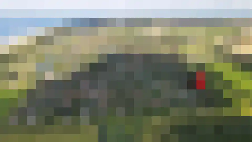 Springvloed 25 Zoutelande thumbnail 32