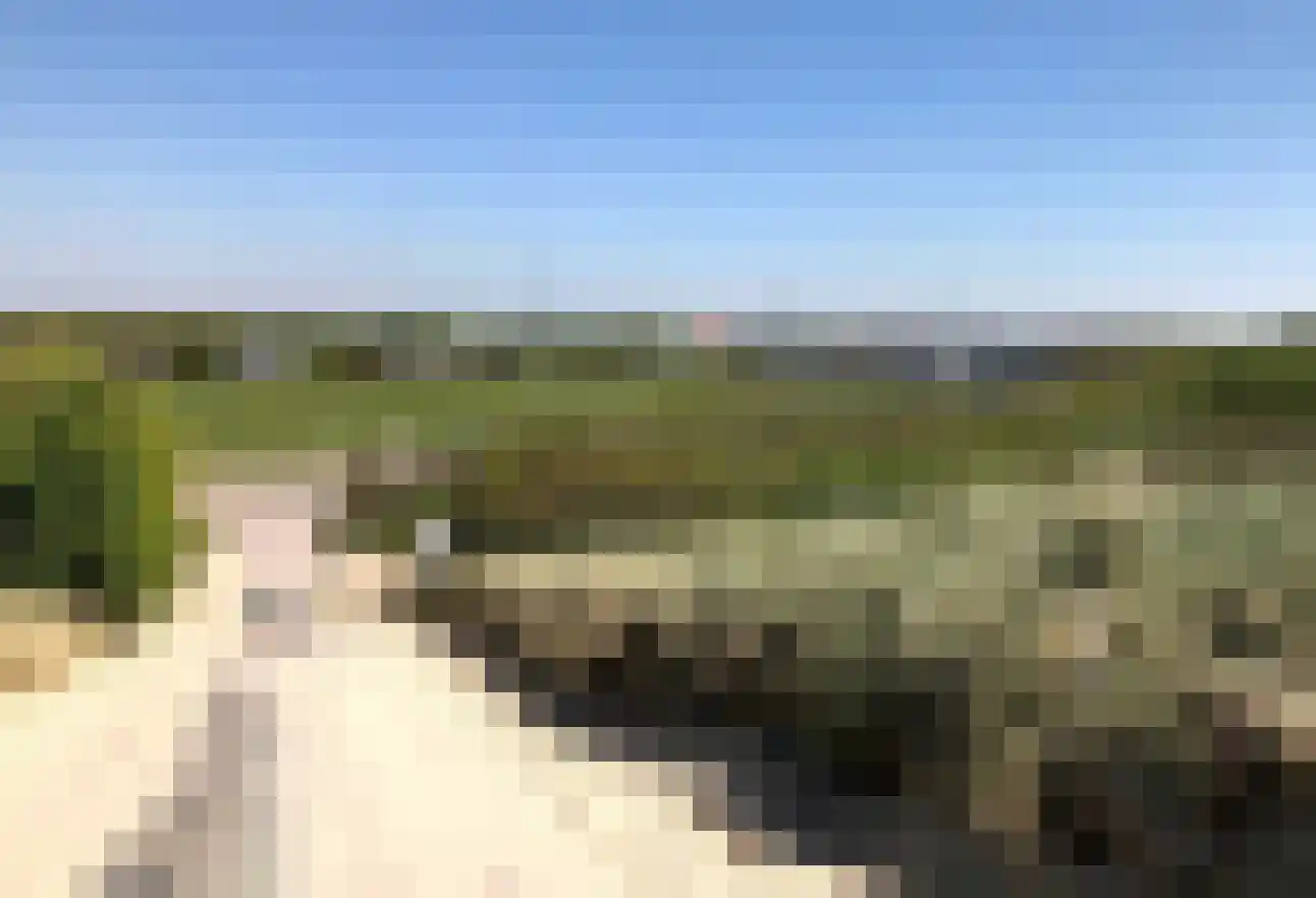Springvloed 25 Zoutelande thumbnail 35