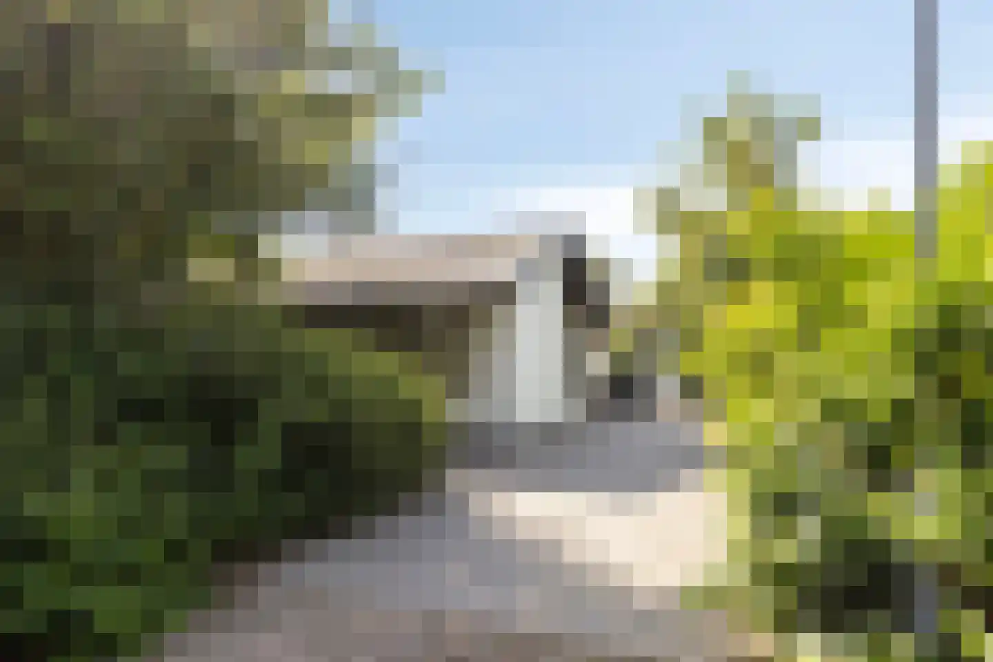 Springvloed 25 Zoutelande thumbnail 5