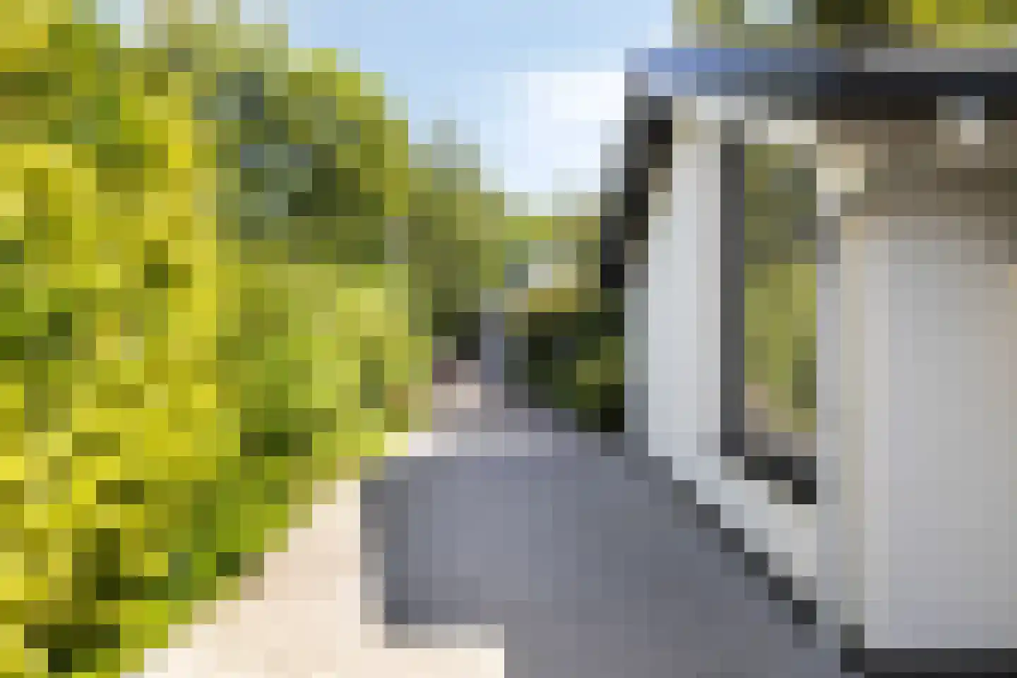 Springvloed 25 Zoutelande thumbnail 7