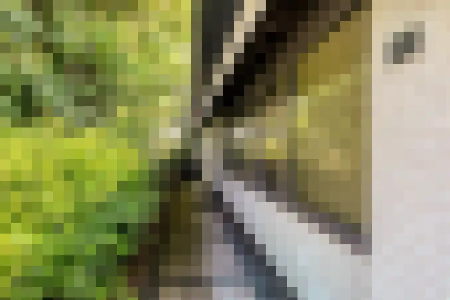 Springvloed 25 Zoutelande thumbnail 8