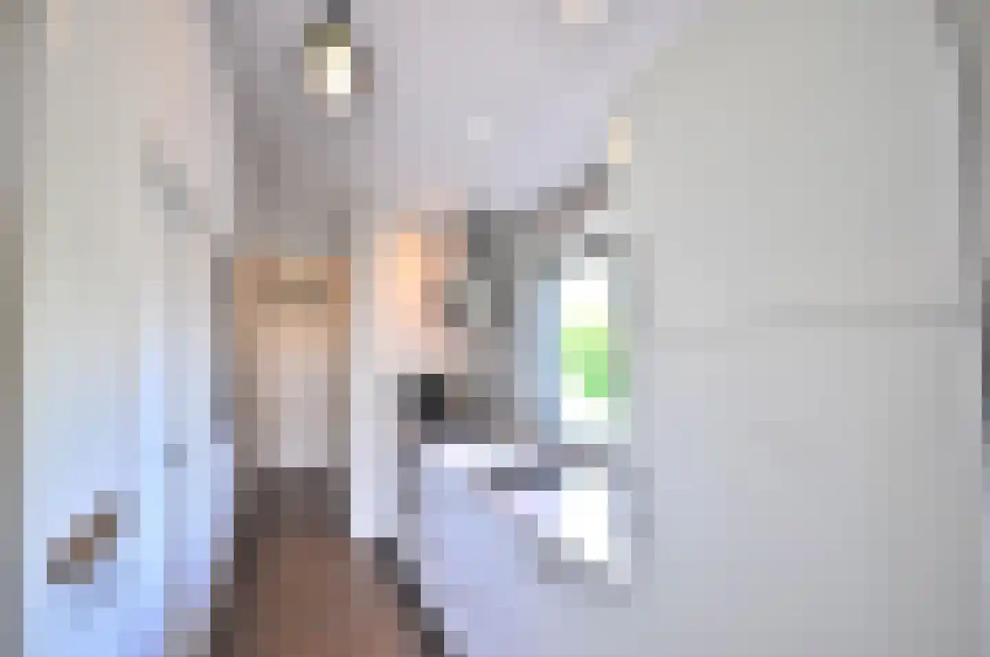 Springvloed 25 Zoutelande thumbnail 8