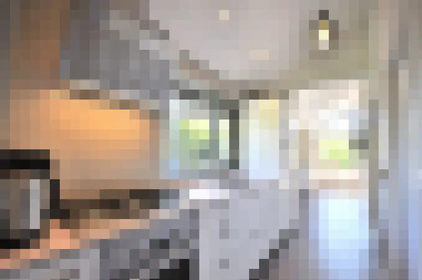 Springvloed 25 Zoutelande thumbnail 9