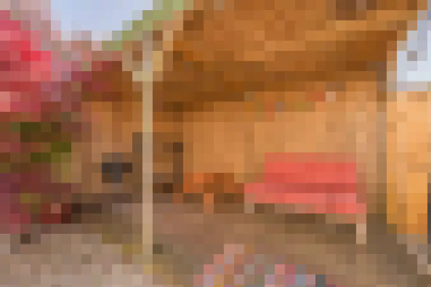 Springvloed 27 Katwijk thumbnail 26