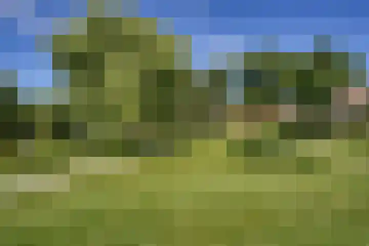 Springvloed 9 Katwijk thumbnail 39