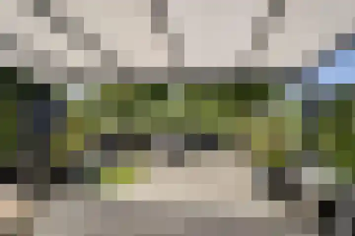 Springvloed 9 Katwijk thumbnail 4