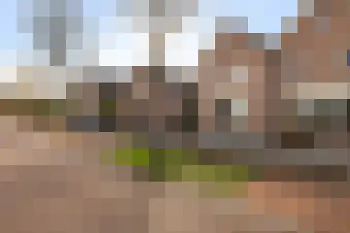Springweg 107 Utrecht thumbnail 11
