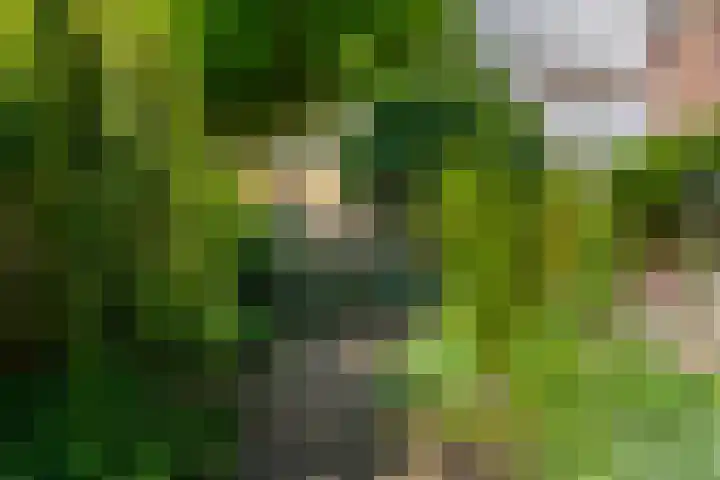 Springweg 107 Utrecht thumbnail 14