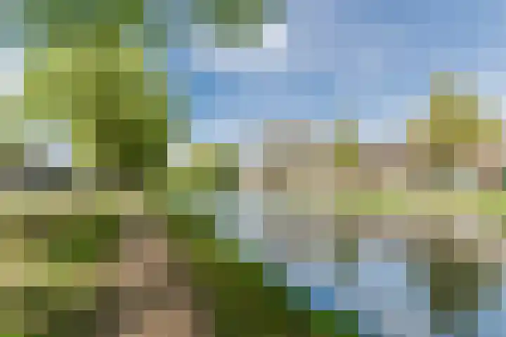 Springweg 107 Utrecht thumbnail 6