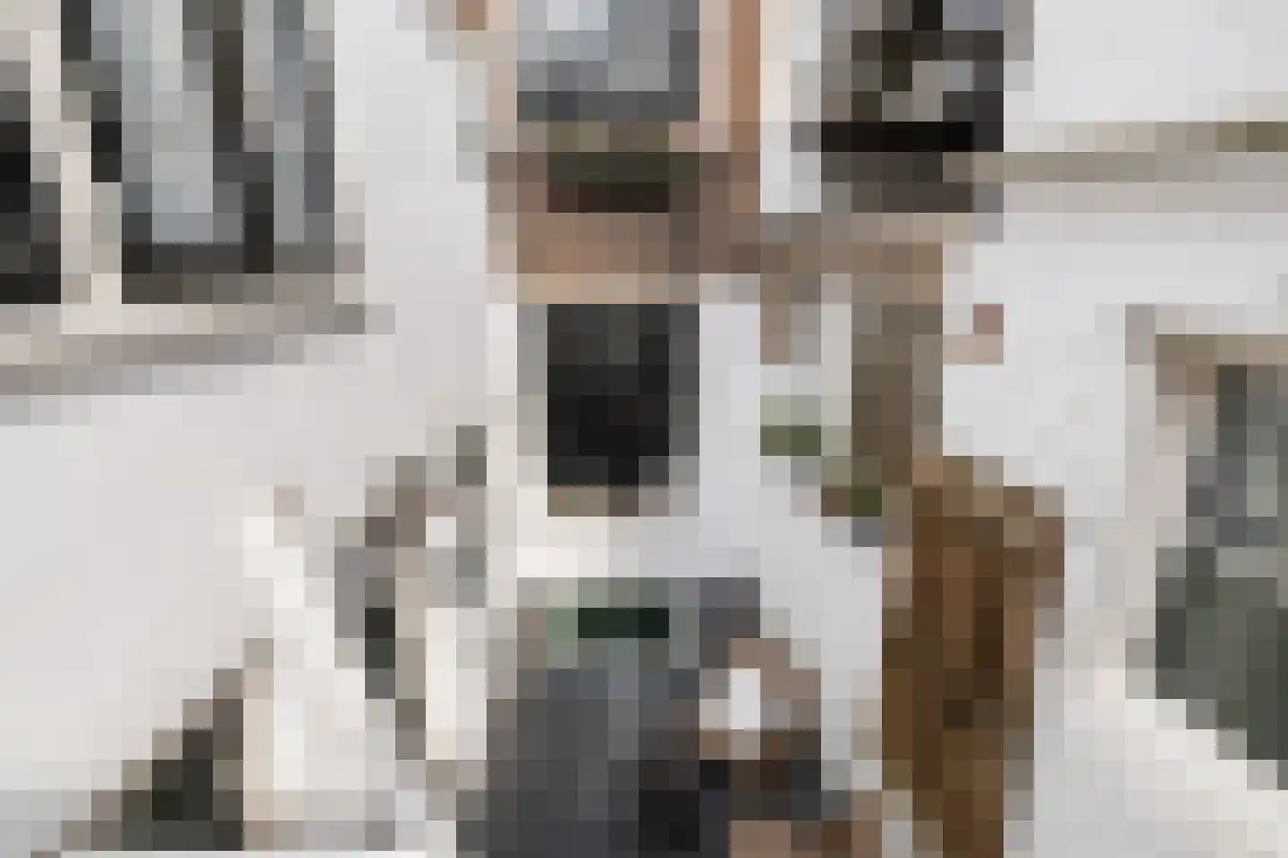 Springweg 153 Utrecht thumbnail 21