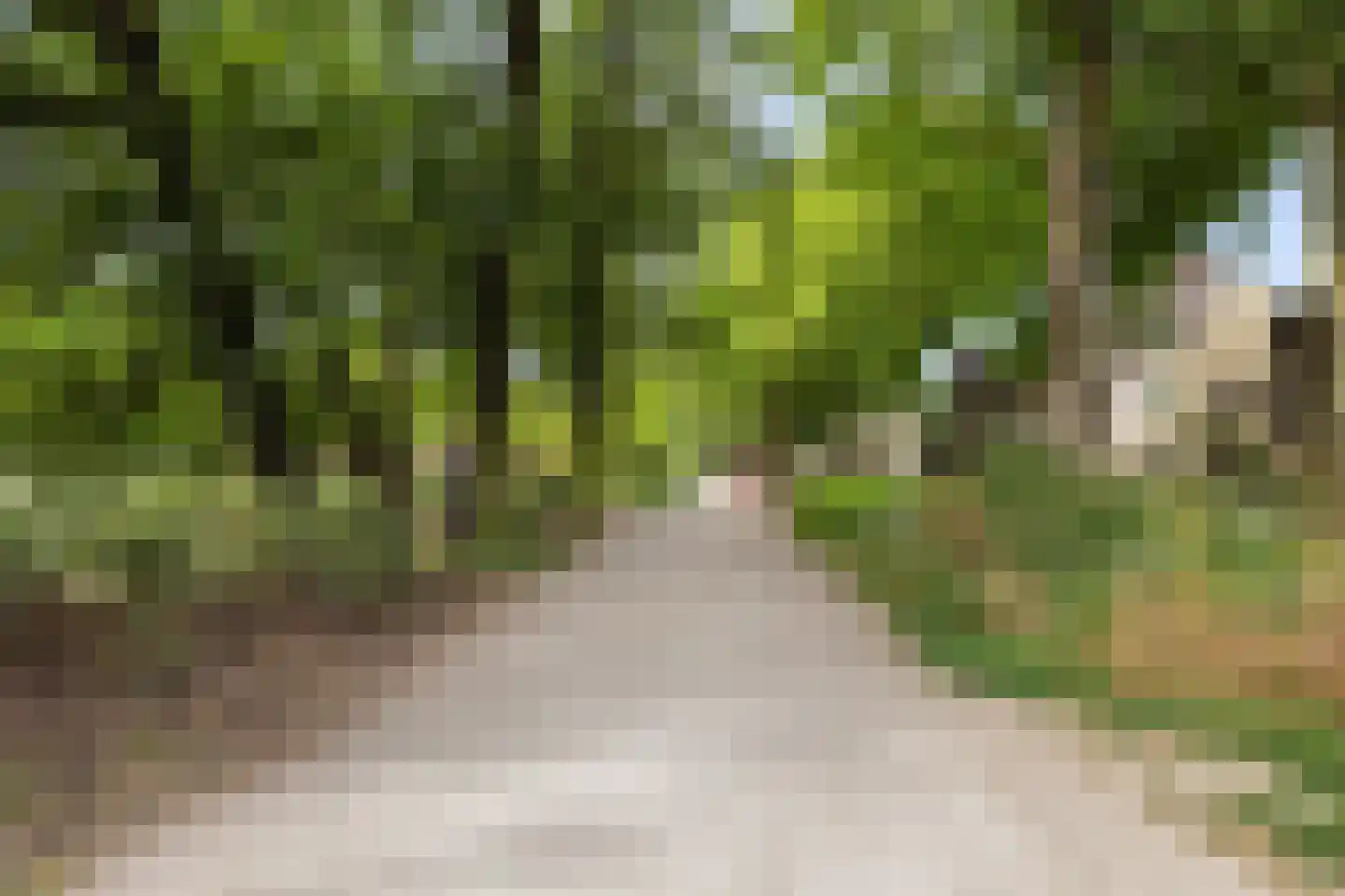 Springweg 153 Utrecht thumbnail 34