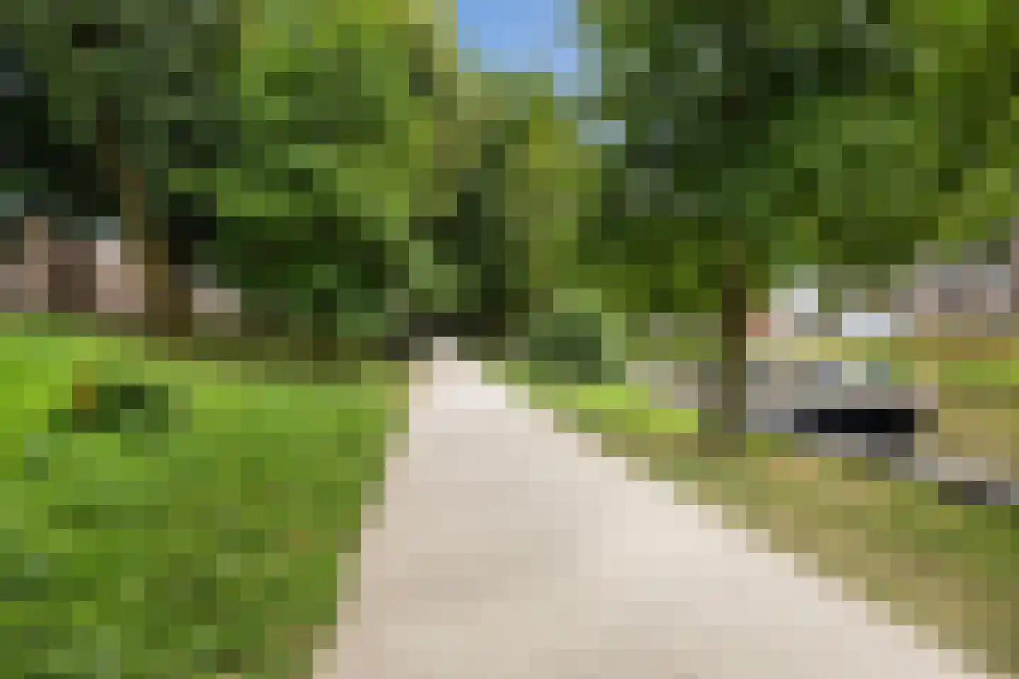 Springweg 153 Utrecht thumbnail 35