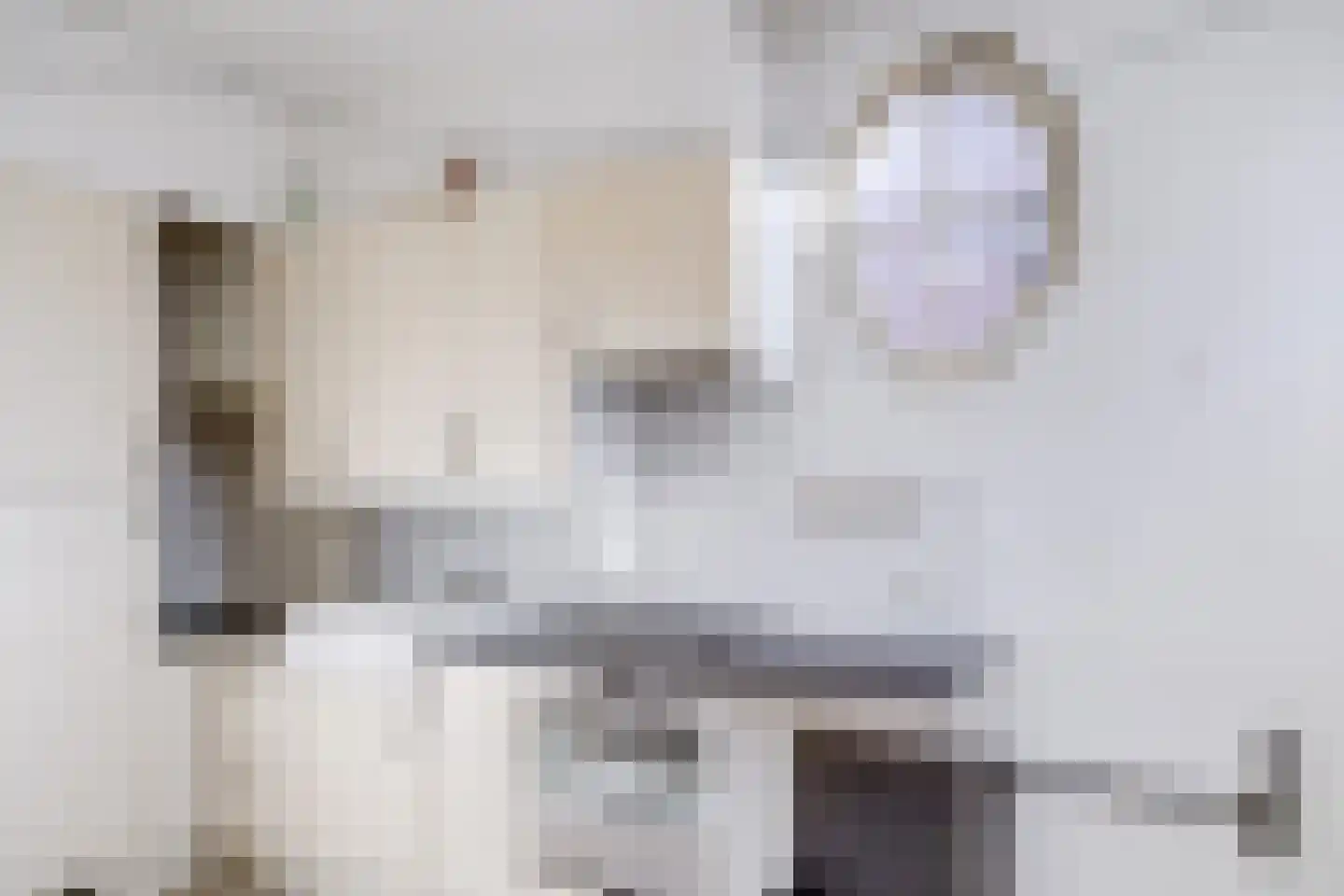 Springweg 24 Utrecht thumbnail 11