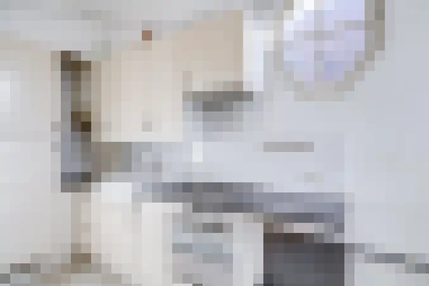 Springweg 24 Utrecht thumbnail 14