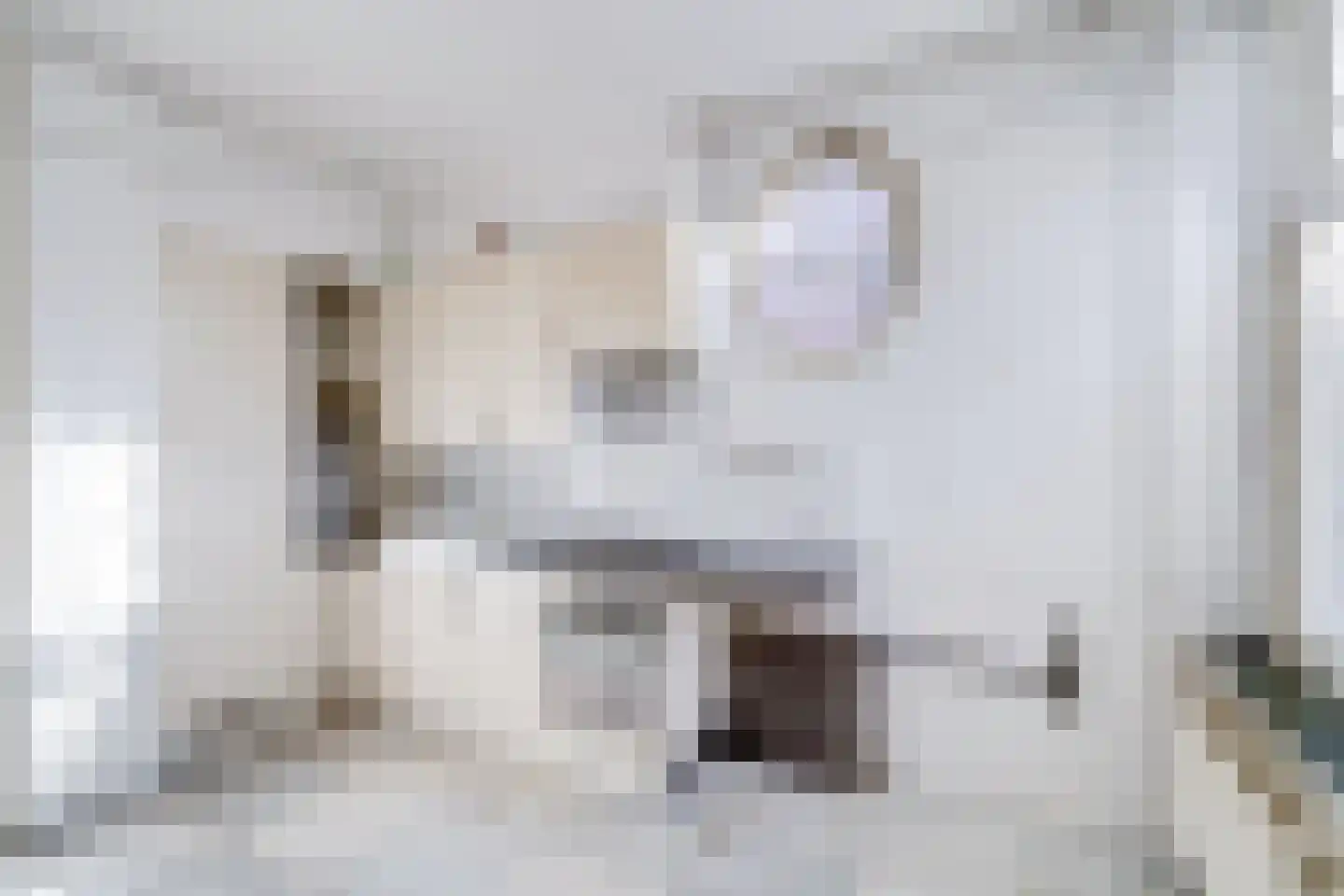 Springweg 24 Utrecht thumbnail 9