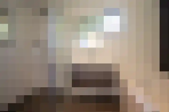 Springweg 25 Maria Hoop thumbnail 11
