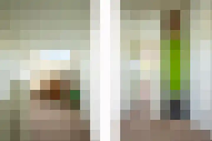 Springweg 25 Maria Hoop thumbnail 14