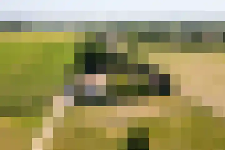Springweg 25 Maria Hoop thumbnail 34