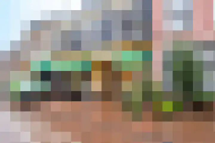 Springweg 406 Utrecht thumbnail 38