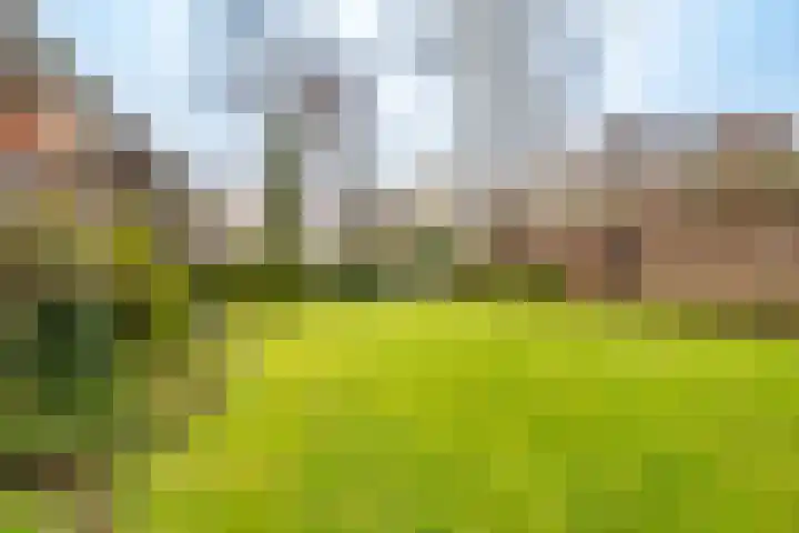 Springweg 406 Utrecht thumbnail 7