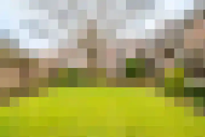 Springweg 406 Utrecht thumbnail 8