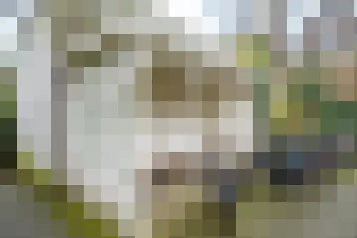 Springweg 406 Utrecht thumbnail 9