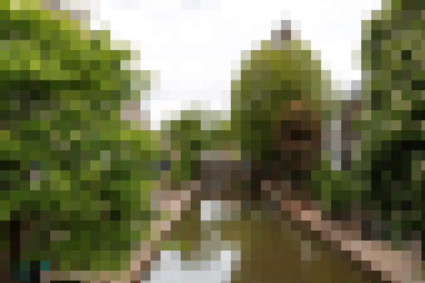 Springweg 53 C Utrecht thumbnail 16