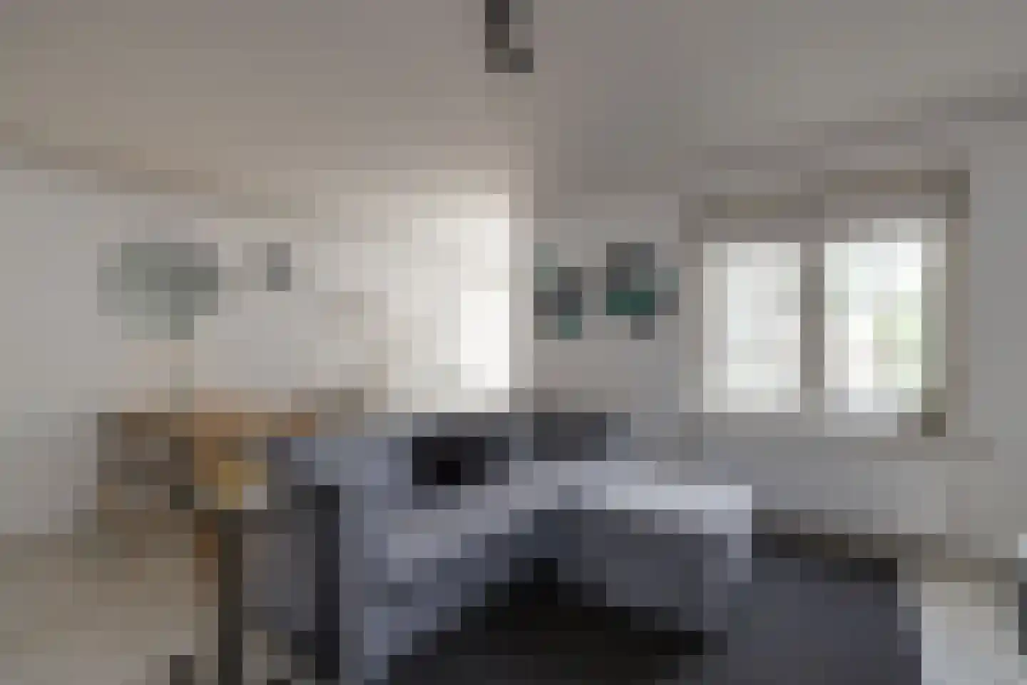 Springweg 53 C Utrecht thumbnail 4