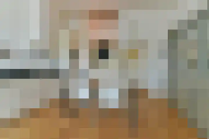 Springweg 60 Utrecht thumbnail 12