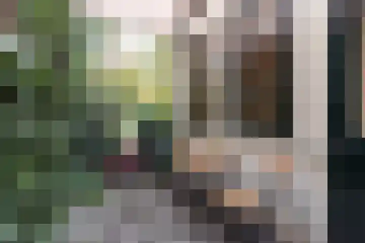 Springweg 60 Utrecht thumbnail 13