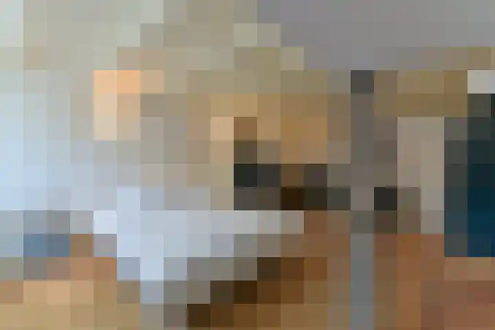 Springweg 60 Utrecht thumbnail 17