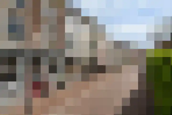 Springweg 60 Utrecht thumbnail 21