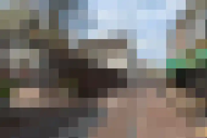 Springweg 60 Utrecht thumbnail 22