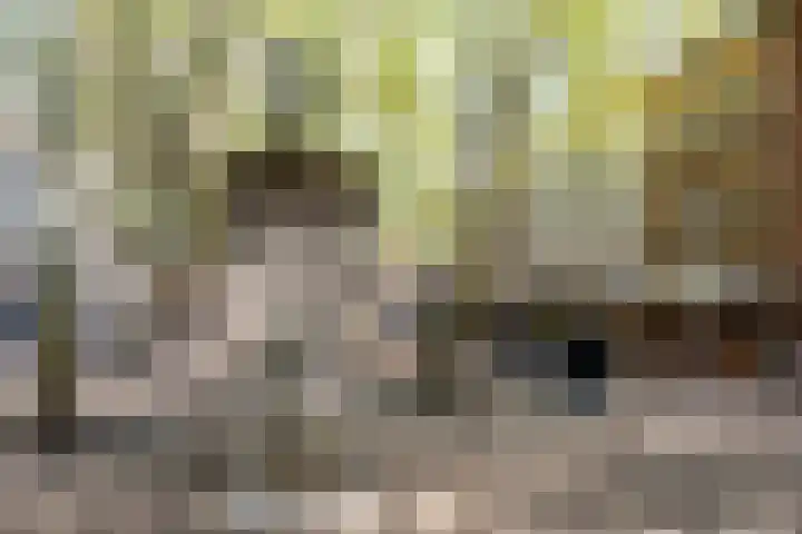 Springweg 60 Utrecht thumbnail 23