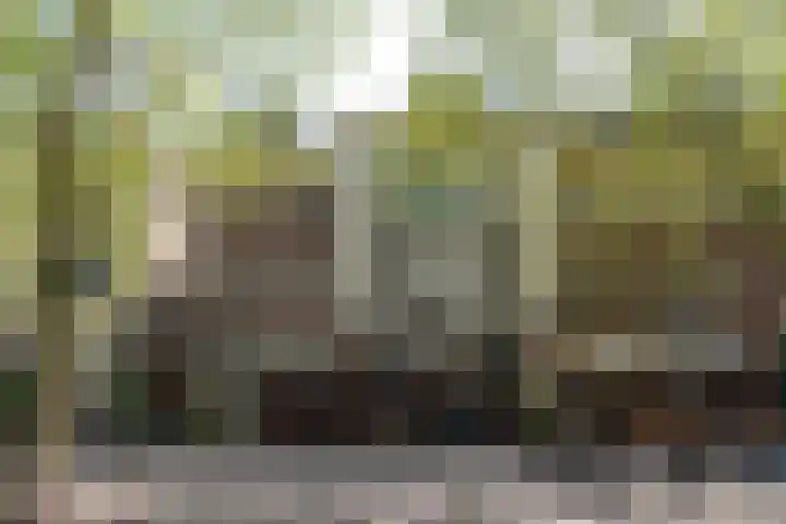 Springweg 60 Utrecht thumbnail 24