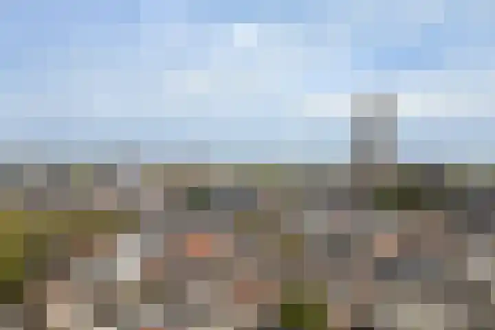 Springweg 60 Utrecht thumbnail 26