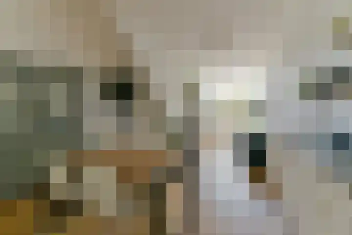 Springweg 60 Utrecht thumbnail 4