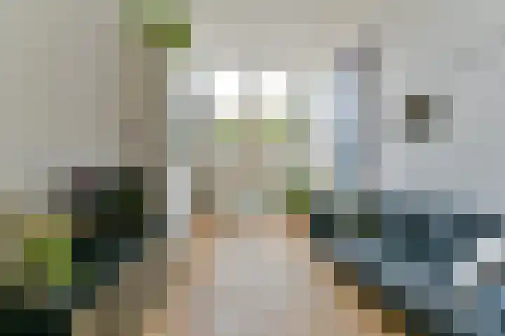 Springweg 60 Utrecht thumbnail 5