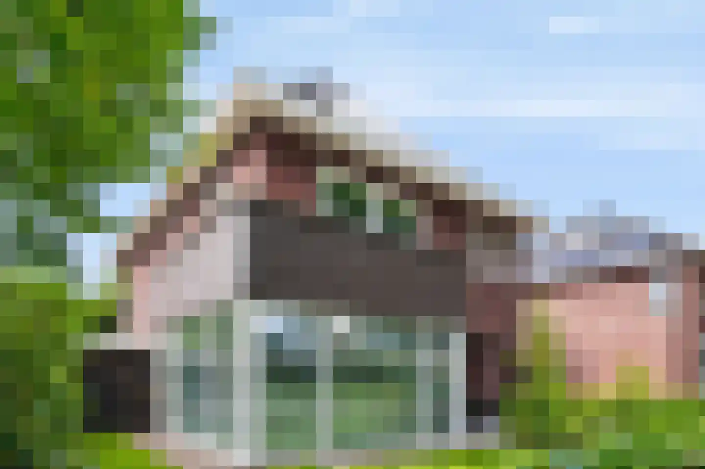 Sprinkhaan 27 Hengelo thumbnail 11
