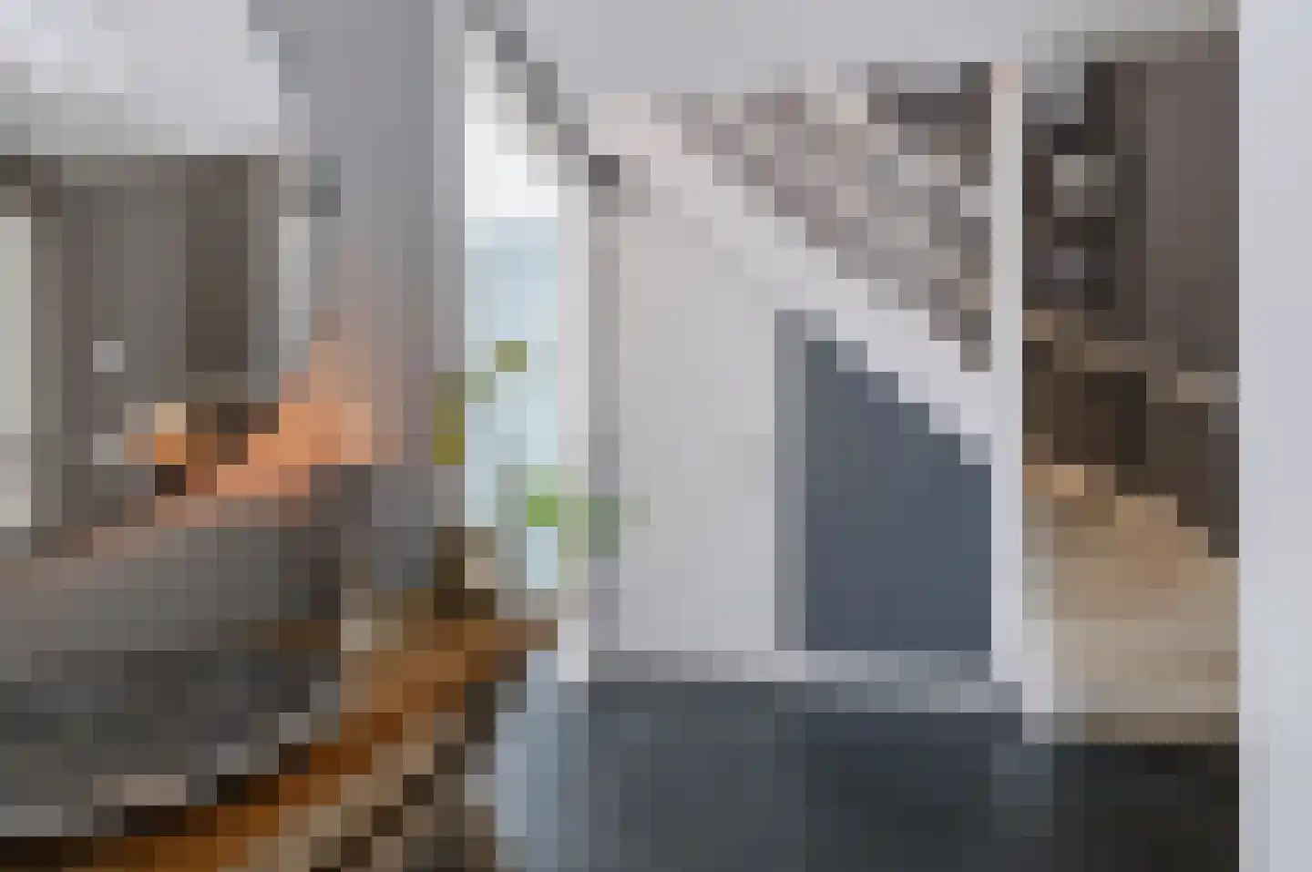 Sprinkhaan 27 Hengelo thumbnail 12