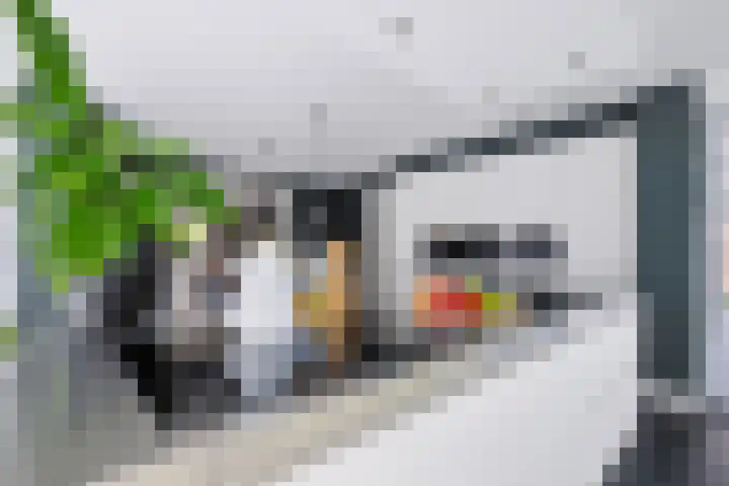 Sprinkhaan 27 Hengelo thumbnail 16