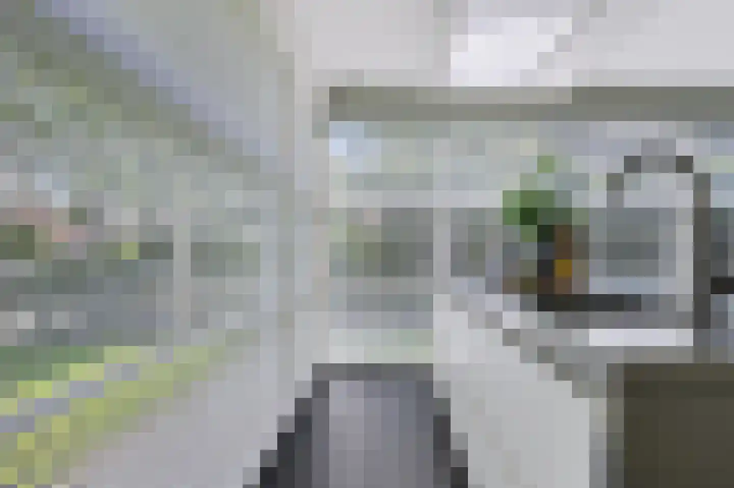 Sprinkhaan 27 Hengelo thumbnail 17