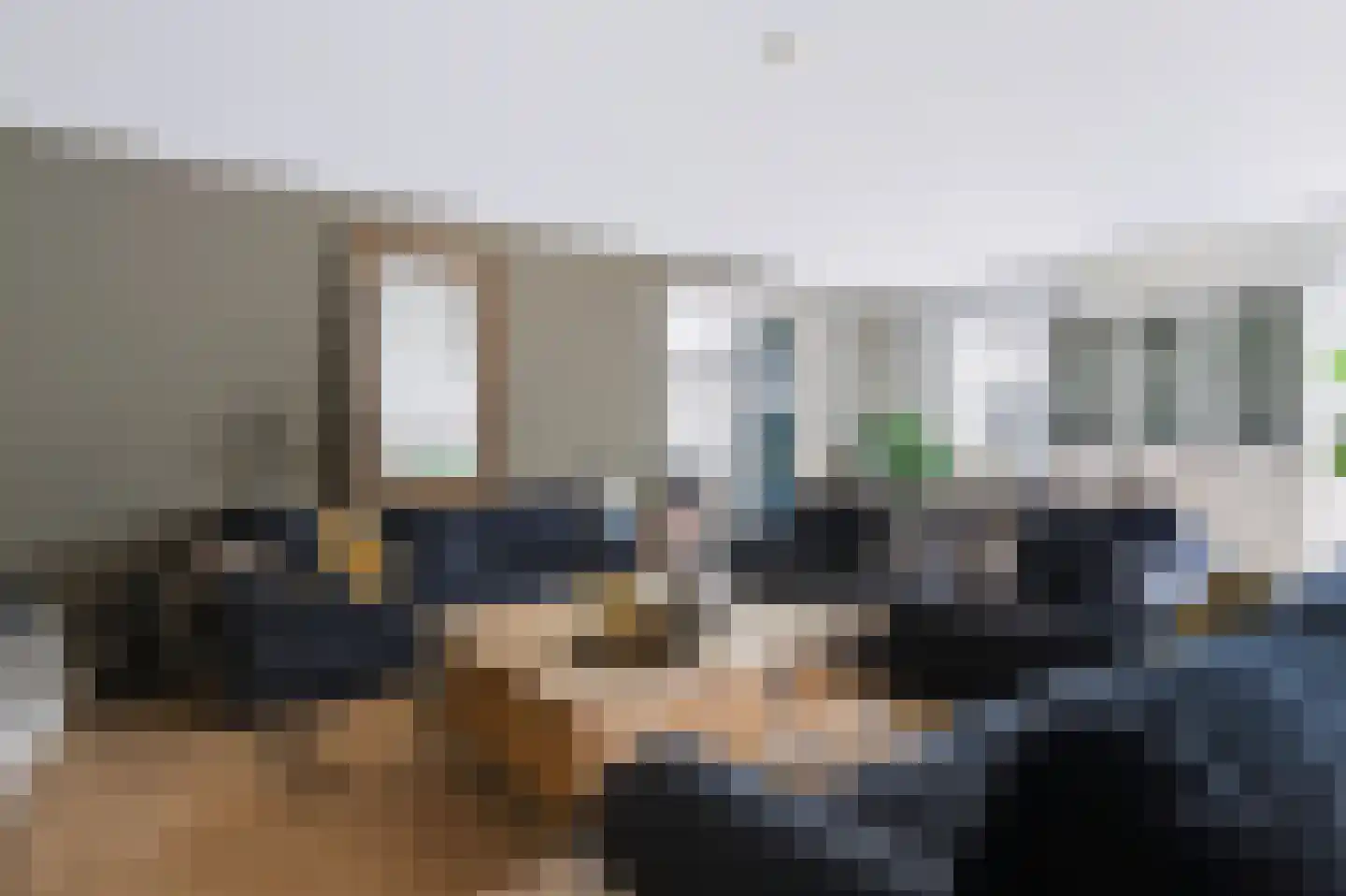 Sprinkhaan 27 Hengelo thumbnail 23