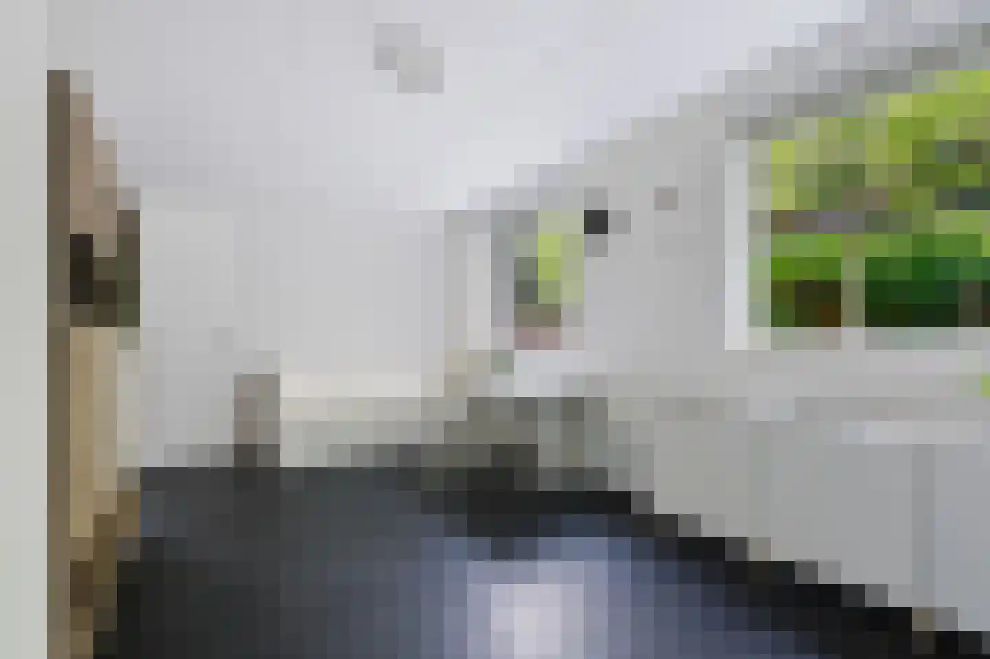 Sprinkhaan 27 Hengelo thumbnail 25