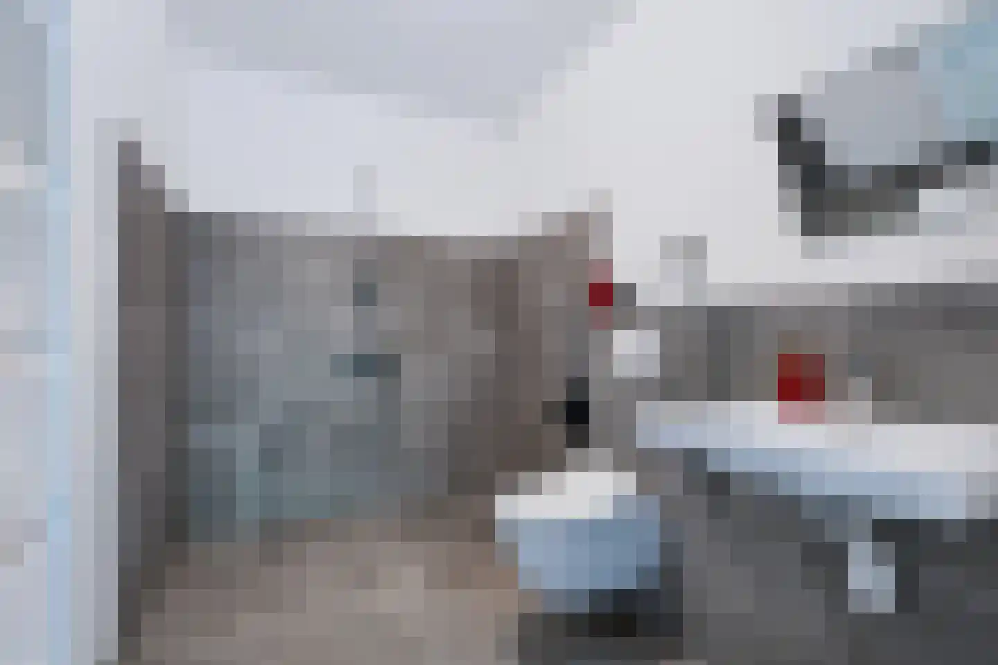 Sprinkhaan 27 Hengelo thumbnail 26