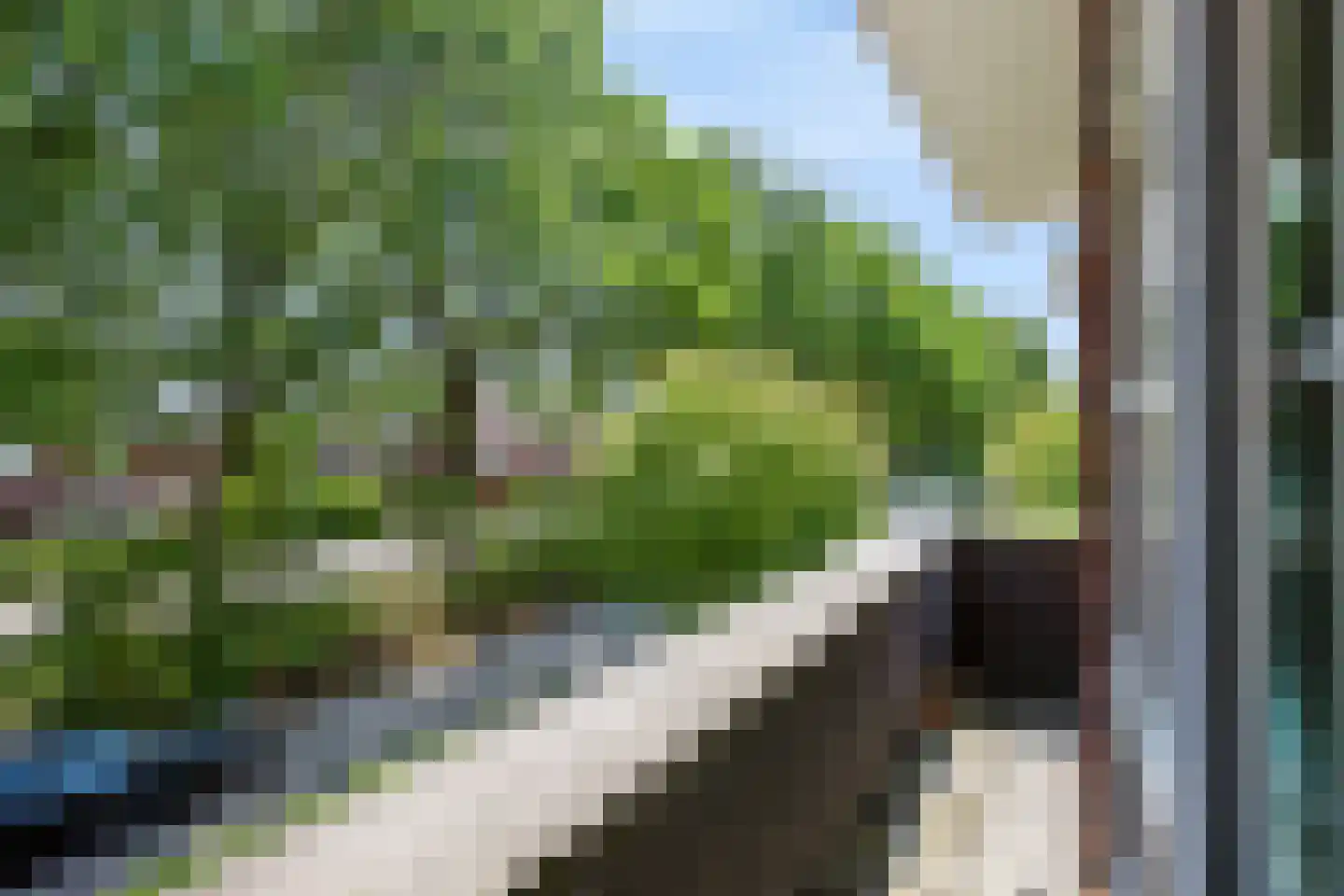 Sprinkhaan 27 Hengelo thumbnail 36