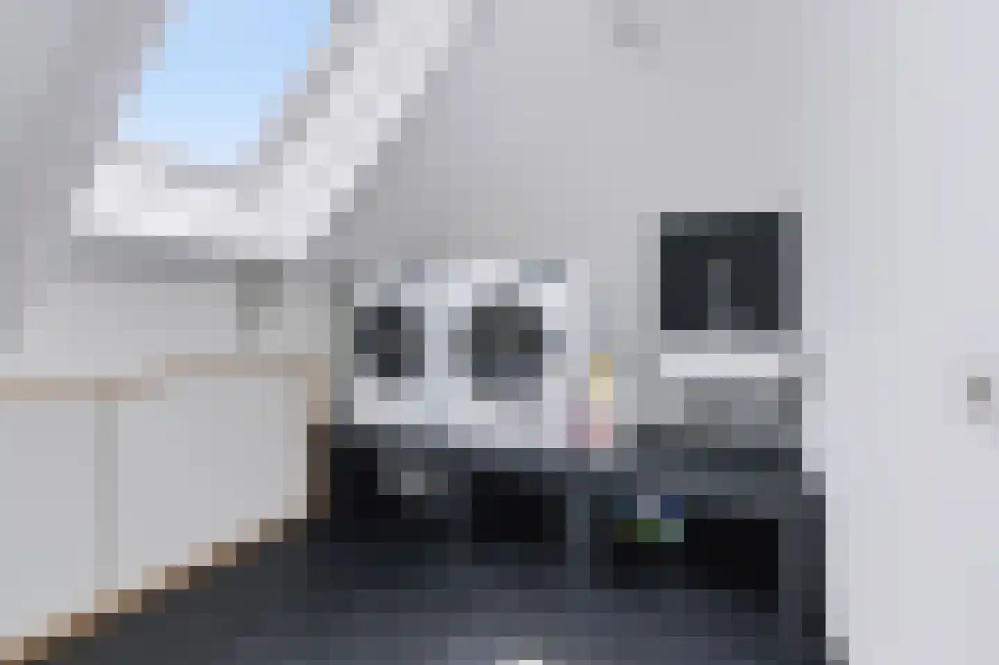 Sprinkhaan 27 Hengelo thumbnail 45