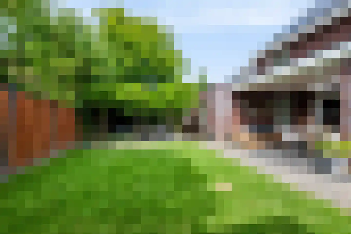 Sprinkhaan 27 Hengelo thumbnail 50